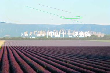 沁阳中国十七块金牌