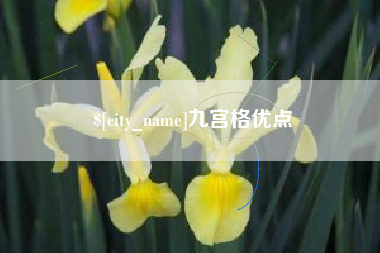 沁阳九宫格优点