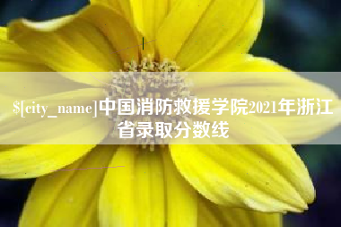 沁阳中国消防救援学院2021年浙江省录取分数线
