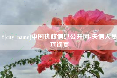 沁阳中国执政信息公开网-失信人员查询页