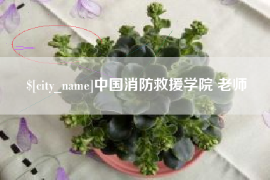 沁阳中国消防救援学院 老师