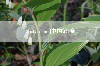 沁阳中国第9金