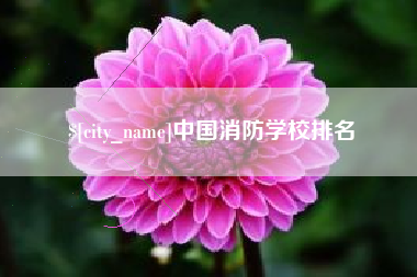 沁阳中国消防学校排名
