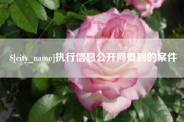 沁阳执行信息公开网查到的案件