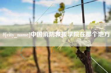 沁阳中国消防救援学院在那个地方