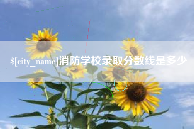 沁阳消防学校录取分数线是多少