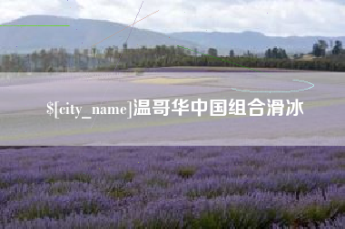 沁阳温哥华中国组合滑冰