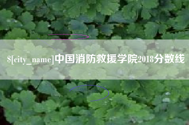 沁阳中国消防救援学院2018分数线