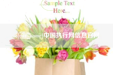 沁阳中国执行网信息官网