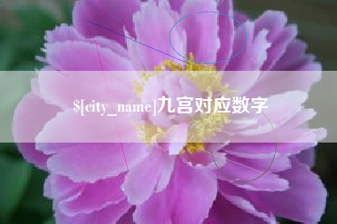 沁阳九宫对应数字