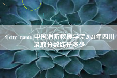 沁阳中国消防救援学院2021年四川录取分数线是多少