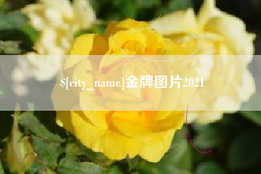 沁阳金牌图片2021