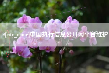 沁阳中国执行信息公开网平台维护