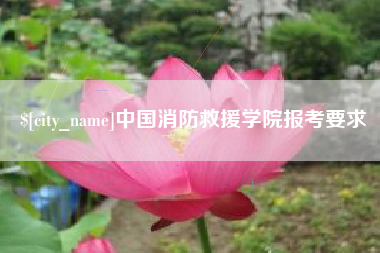 沁阳中国消防救援学院报考要求