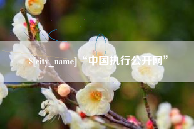 沁阳“中国执行公开网”