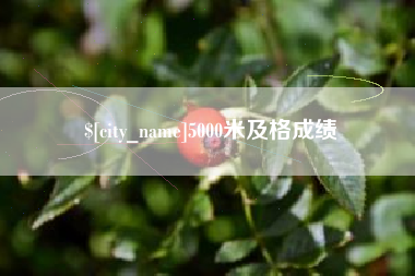 沁阳5000米及格成绩