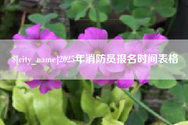 沁阳2025年消防员报名时间表格