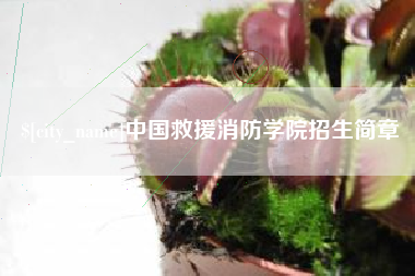 沁阳中国救援消防学院招生简章