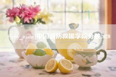沁阳中国消防救援学院分数2020