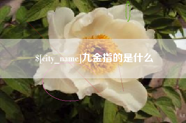 沁阳九金指的是什么