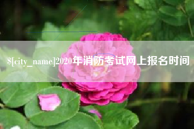 沁阳2020年消防考试网上报名时间