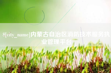 沁阳内蒙古自治区消防技术服务执业管理平台