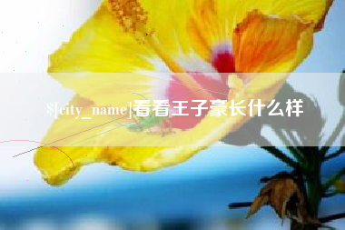 沁阳看看王子豪长什么样