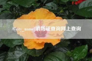 沁阳消防证查询网上查询