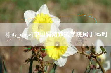 沁阳中国消防救援学院属于985吗