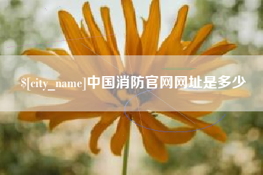 沁阳中国消防官网网址是多少