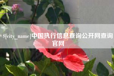 沁阳中国执行信息查询公开网查询官网