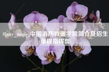 沁阳中国消防救援学院简介及招生章程指挥部