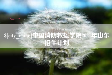 沁阳中国消防救援学院2021年山东招生计划