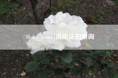 沁阳消防证的查询