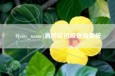 沁阳消防证初级查询系统