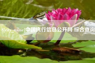 沁阳中国执行信息公开网 综合查询