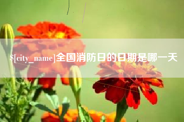 沁阳全国消防日的日期是哪一天