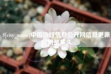 沁阳中国执行信息公开网信息更新时间是多久