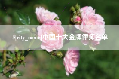 沁阳中国十大金牌律师名单