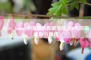沁阳中国消防救援学院2020年河南录取分数线