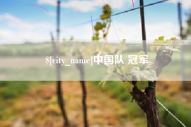 沁阳中国队 冠军