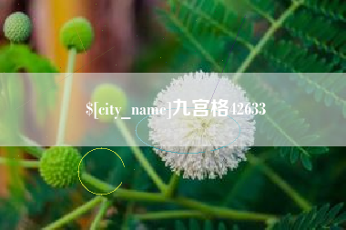 沁阳九宫格42633