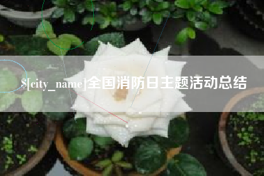 沁阳全国消防日主题活动总结