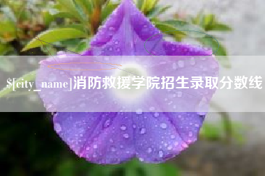 沁阳消防救援学院招生录取分数线