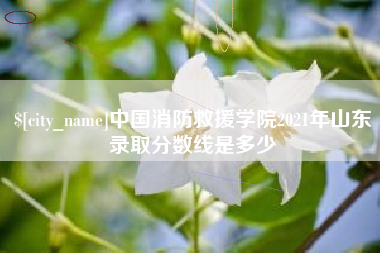 沁阳中国消防救援学院2021年山东录取分数线是多少