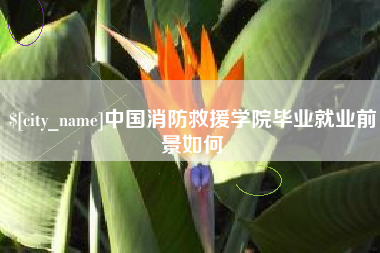 沁阳中国消防救援学院毕业就业前景如何