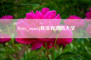 沁阳有没有消防大学