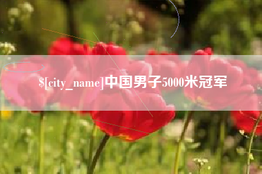 沁阳中国男子5000米冠军