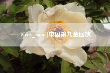 沁阳中国第九金回放