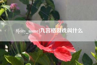 沁阳九宫格游戏叫什么